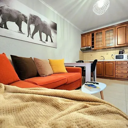 One Bd Flat Near Center With 24h Self Check In דירה טיראנה